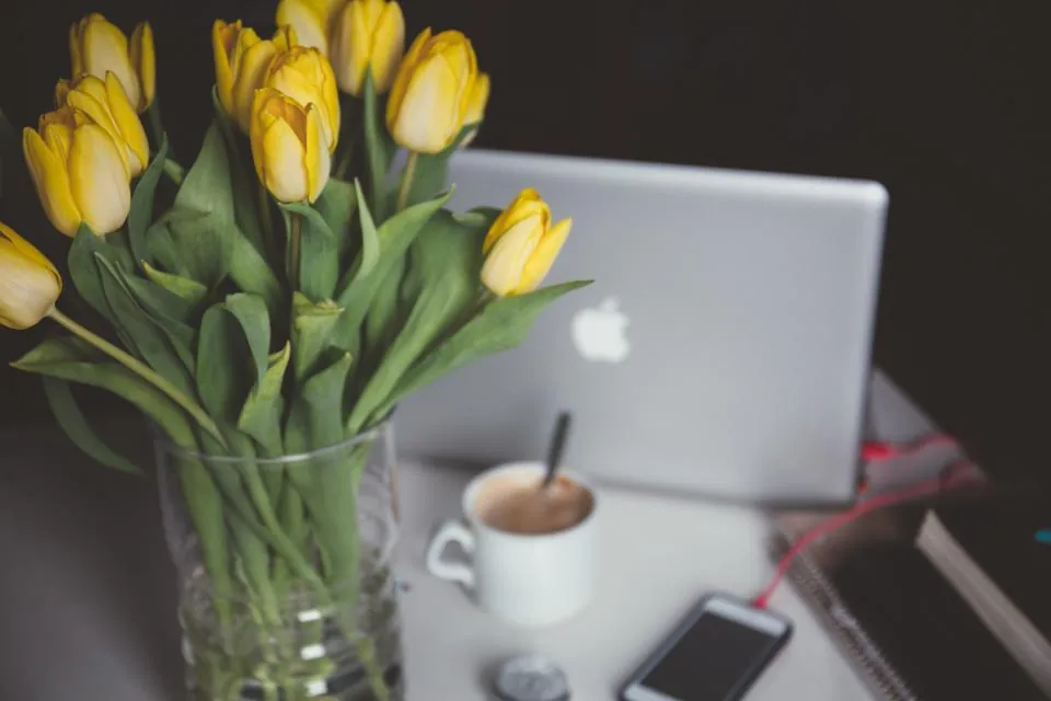 Tulipanes
