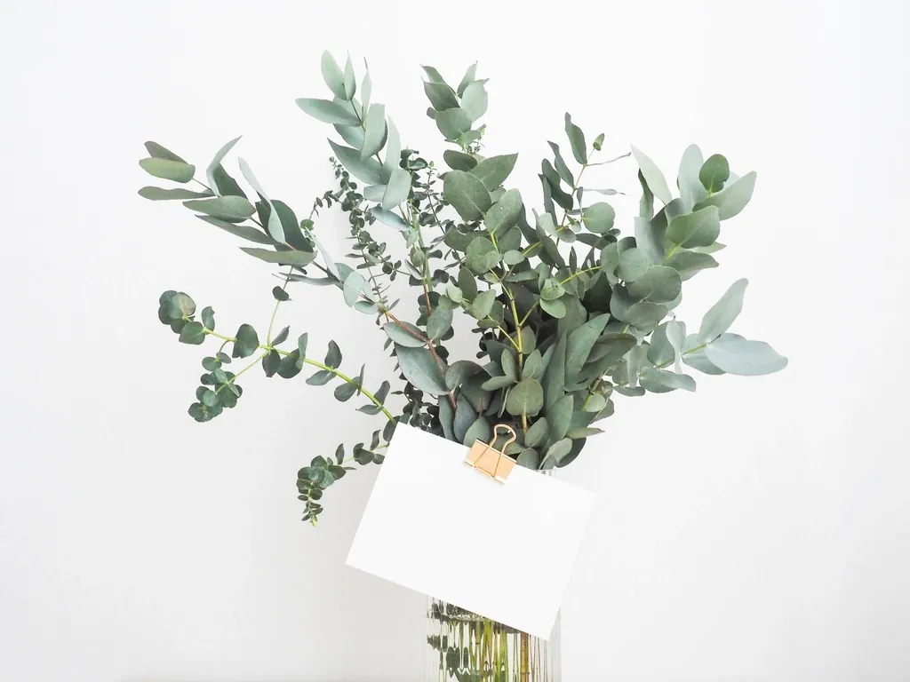 Eterno Musgo, arreglo floral estilo Minimalista